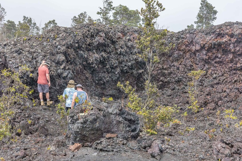 Picture 5 for Activity Hawaii: All-Inclusive Volcanoes and Waterfalls Private Tour