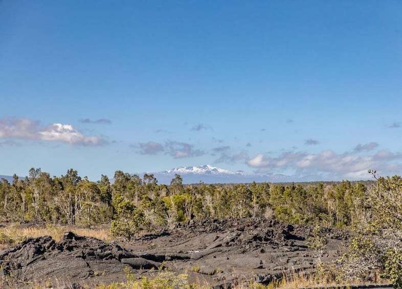 Picture 14 for Activity Hawaii: All-Inclusive Volcanoes and Waterfalls Private Tour