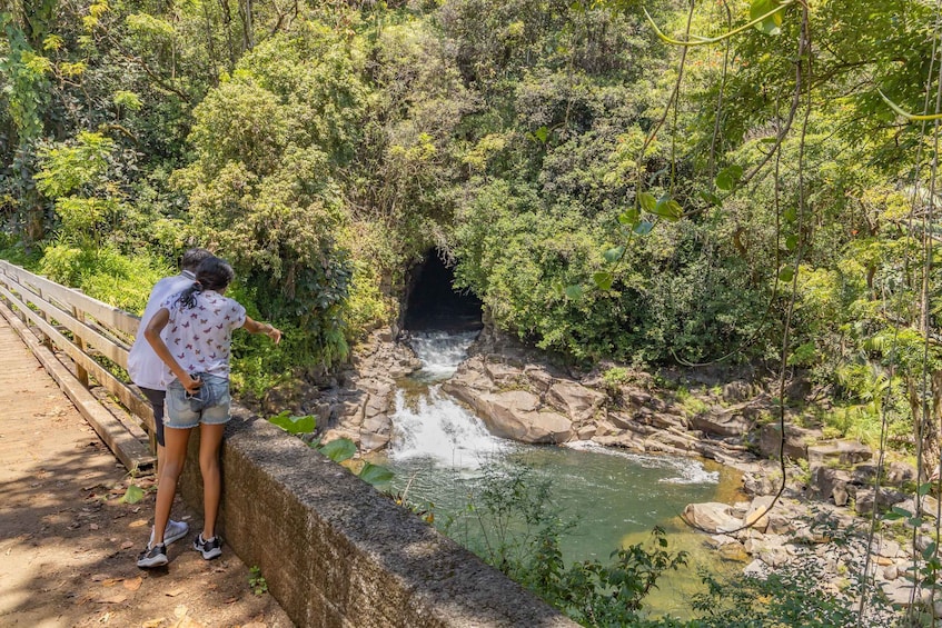 Picture 5 for Activity Hawaii: All-Inclusive Volcanoes and Waterfalls Private Tour