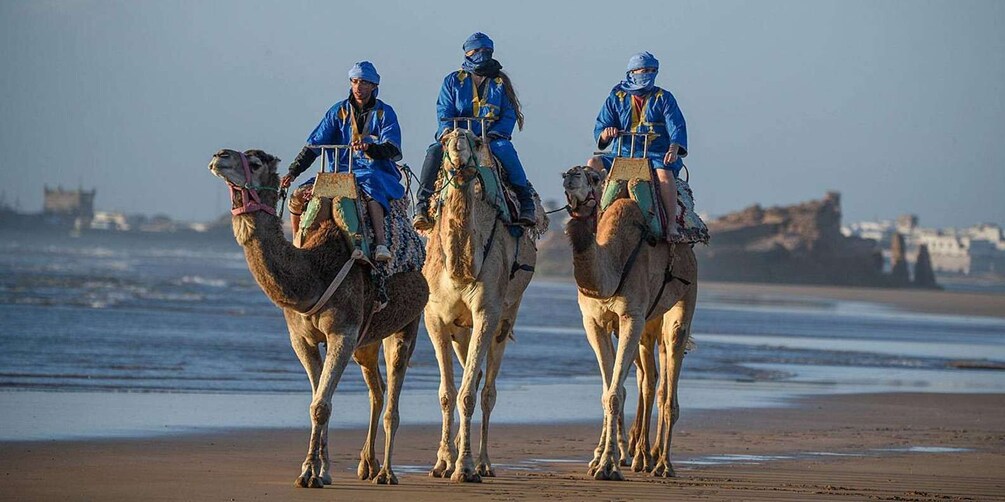 Essaouira: 2-Hour Camel Ride