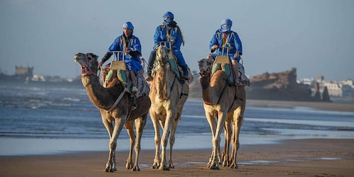 Essaouira: 2-timmars kameltur