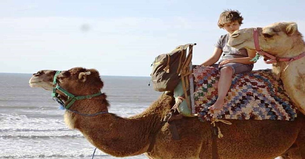 Picture 3 for Activity Essaouira: 2-Hour Camel Ride