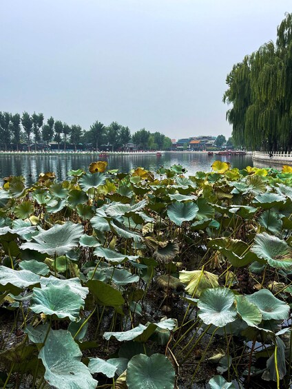 Picture 5 for Activity Hutongs of Ancient Beijing+Drum Tower+Local Snacks