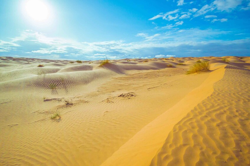 Picture 7 for Activity From Djerba: Night at the Desert camp Ksar Ghilane