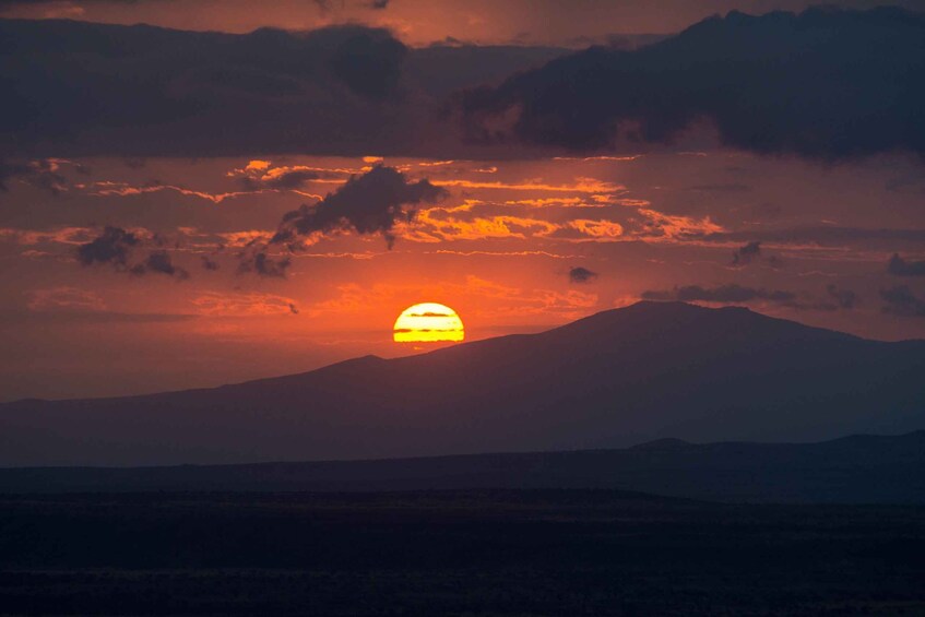 Picture 4 for Activity From Zanzibar: Selous Game Reserve Day Safari with Flights