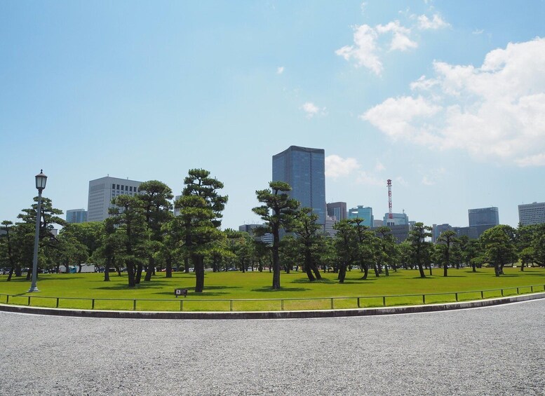 Picture 4 for Activity Tokyo: Imperial Palace, Sensō-ji Temple, & Tokyo Tower Tour