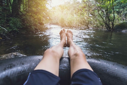 Palomino: Palomino River Tubing og fottur