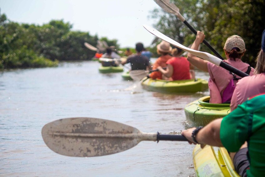 Picture 22 for Activity Kayaking & Floating Village in Siem Reap