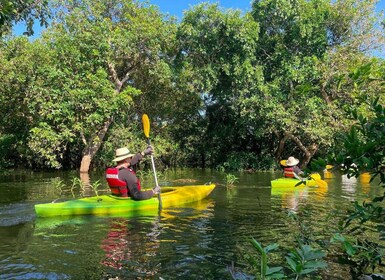 Kayaking & Floating Village in Siem Reap