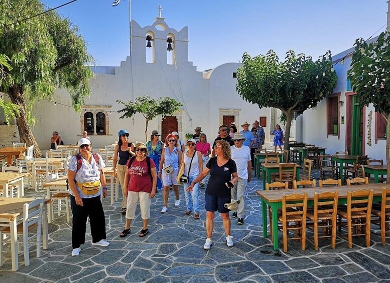 Picture 8 for Activity "Discover Folegandros"