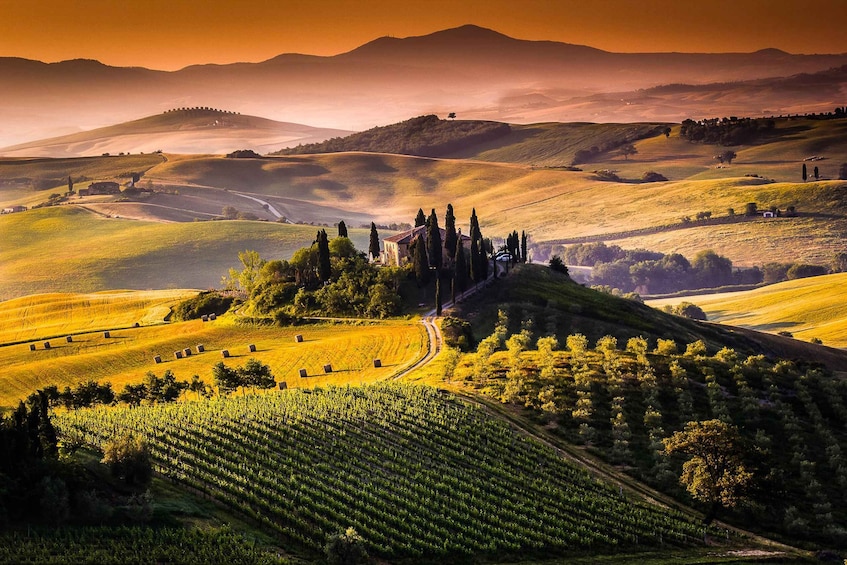 Tuscany: Chianti Wine Paradise Tour