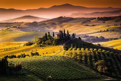 ทัสคานี: ทัวร์ Chianti Wine Paradise