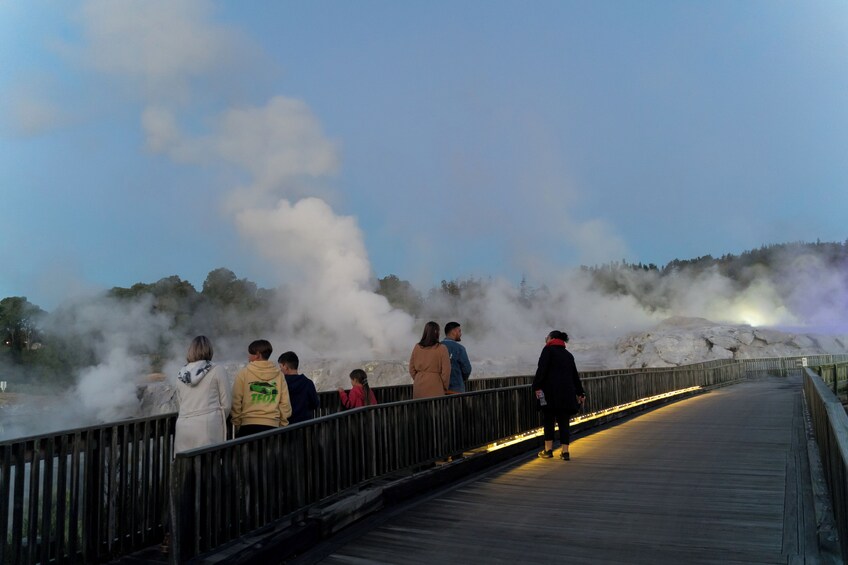 Geyser By Night