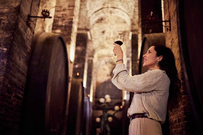 Montepulciano: Guided Wine Tasting Tour with Lunch