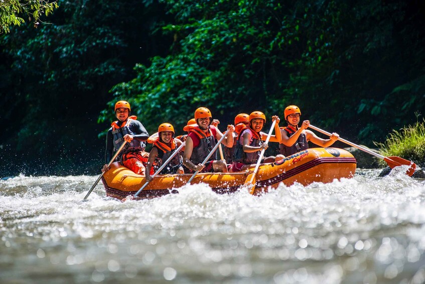 Picture 3 for Activity Bali: Ayung River Guided Rafting Adventure with Lunch