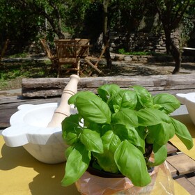 Manarola: Clase de elaboración de pesto con degustación y vino