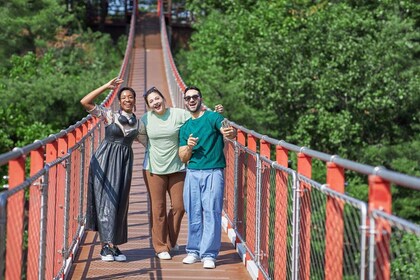 Seúl: recorrido por la DMZ con puente colgante y góndola opcionales