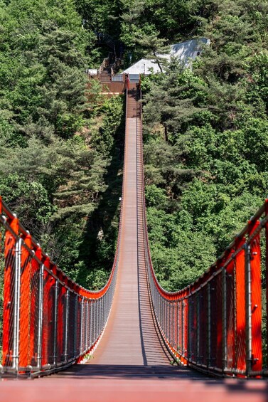 Picture 6 for Activity Seoul: DMZ Tour with Optional Suspension Bridge and Gondola