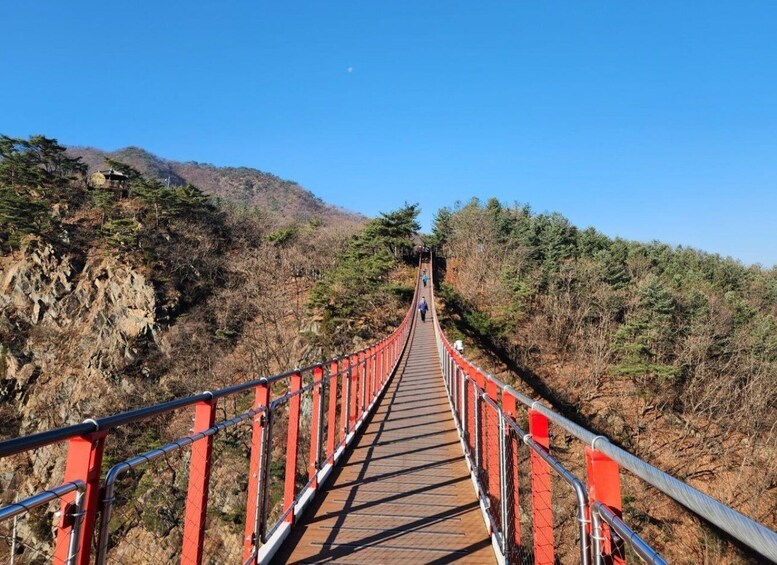 Picture 10 for Activity Seoul: DMZ Tour with Optional Suspension Bridge and Gondola