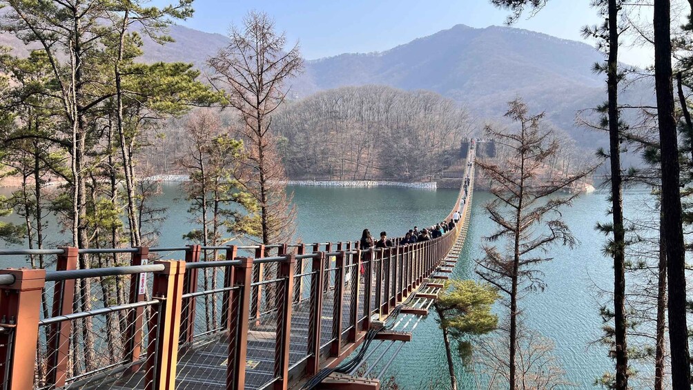 Picture 30 for Activity Seoul: DMZ Tour with Optional Suspension Bridge and Gondola