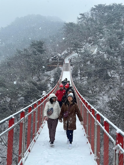 Picture 8 for Activity Seoul: DMZ Tour with Optional Suspension Bridge and Gondola