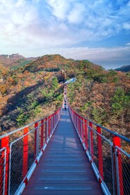 Séoul : DMZ excursion avec pont suspendu et gondole en option