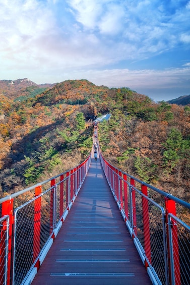 Seoul: DMZ Tour with Optional Suspension Bridge and Gondola