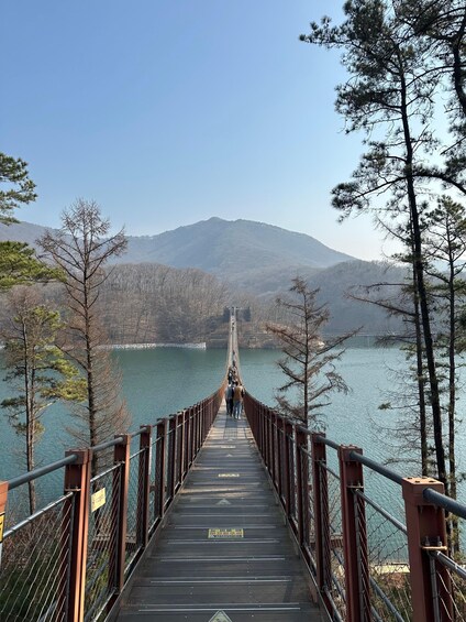 Picture 21 for Activity Seoul: DMZ Tour with Optional Suspension Bridge and Gondola