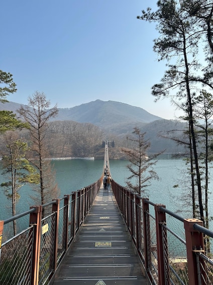 Picture 21 for Activity Seoul: DMZ Tour with Optional Suspension Bridge and Gondola