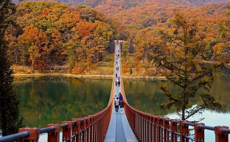 Seoul: DMZ Tour mit optionaler Hängebrücke und Gondel