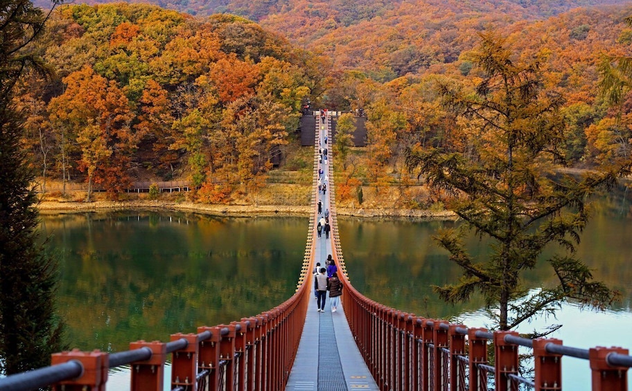 Picture 5 for Activity Seoul: DMZ Tour with Optional Suspension Bridge and Gondola