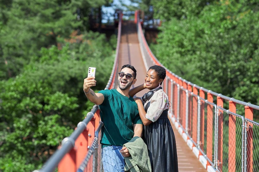 Seoul: DMZ Tour with Optional Suspension Bridge and Gondola