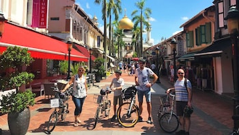Half-Day Historic Singapore Bicycle Tour