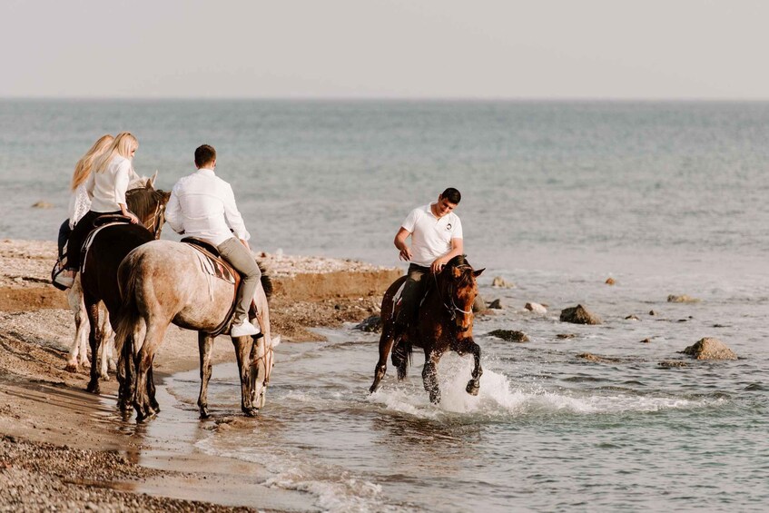 Picture 4 for Activity Santorini: Horseback Riding Experience in Volcanic Landscape