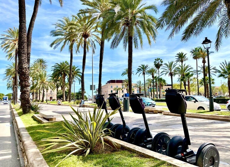 Picture 3 for Activity Palma: Private Guided Segway Tour