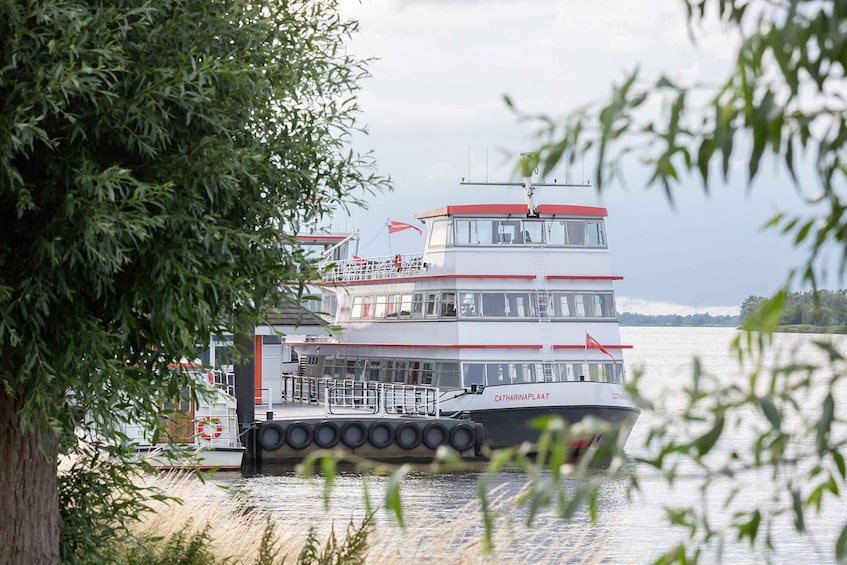 Picture 2 for Activity Biesbosch: Boat Cruise through National Park