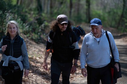 Cerca de Roma: camina por el antiguo bosque declarado Patrimonio de la Huma...