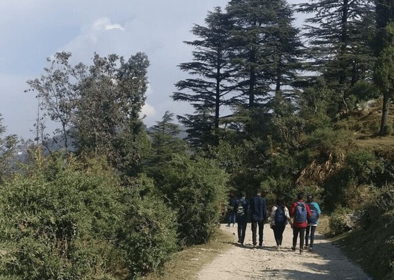 Picture 2 for Activity Guided Haunted & Mysterious Walking Tour of Mussoorie