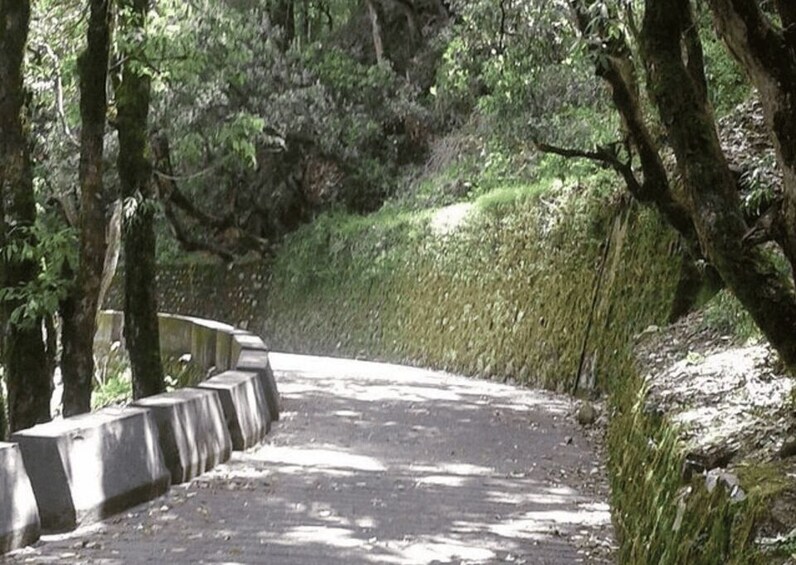 Picture 5 for Activity Guided Haunted & Mysterious Walking Tour of Mussoorie