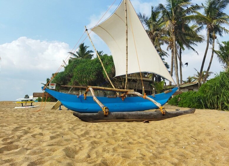 Picture 1 for Activity Catamaran Sunset Sailing in Mount Lavinia