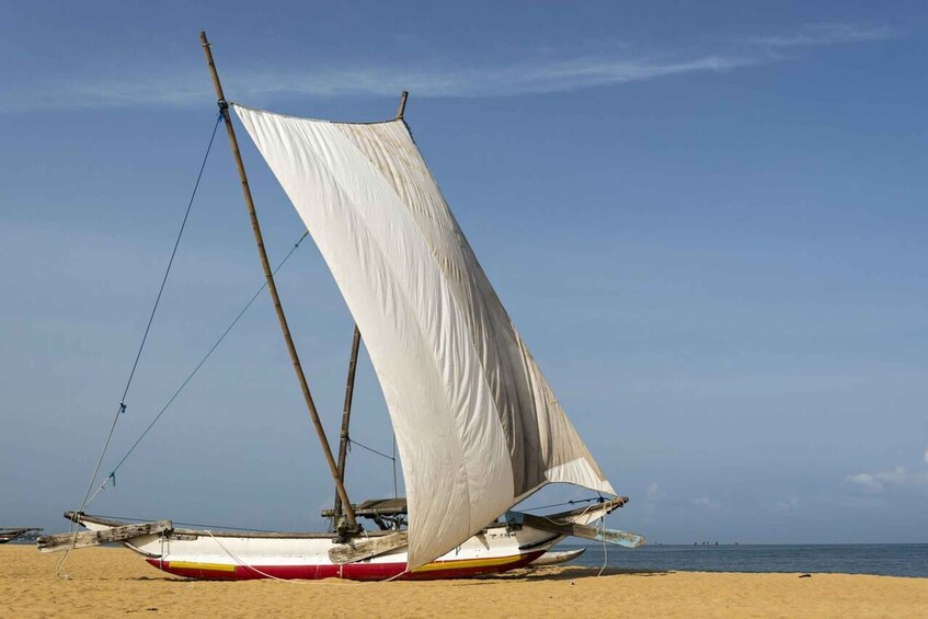 Picture 5 for Activity Catamaran Sunset Sailing in Mount Lavinia