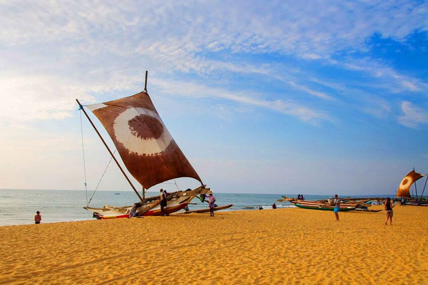 Picture 3 for Activity Catamaran Sunset Sailing in Mount Lavinia