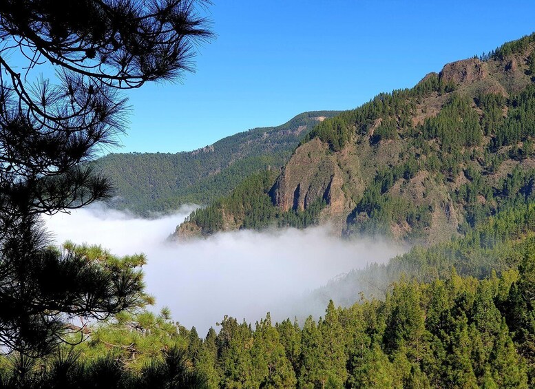 Picture 4 for Activity Tenerife: Barranco de los Arcos - Canyoning in Tenerife