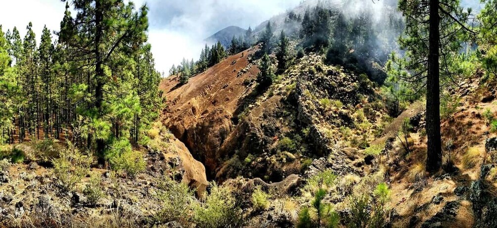 Picture 1 for Activity Tenerife: Barranco de los Arcos - Canyoning in Tenerife