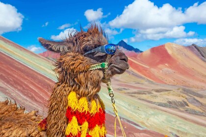 Rainbow Mountains - Montaña de 7 Colores