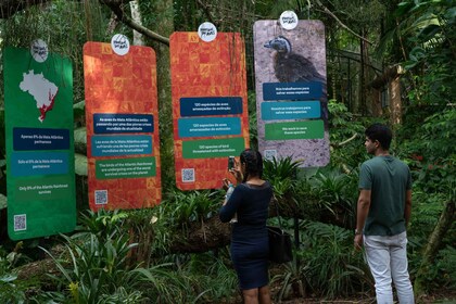 Iguazu Falls and bird park on a sightseeing bus