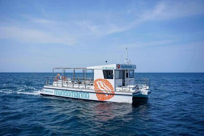 Dénia: Sunset Cruise on a Motor Catamaran