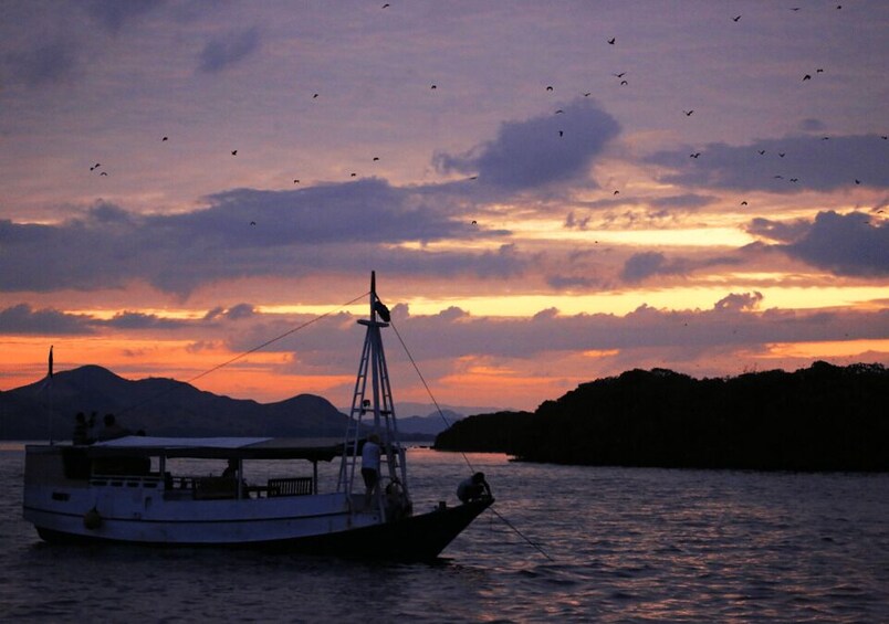 Picture 16 for Activity Komodo Island: Private 3-Day Tour with Boat and Hotel Stay