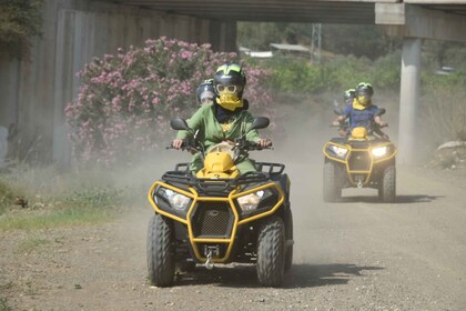 Mijas Mountains 1 tunnin Quad Tour (Hinta 1-2 hengen quadille)