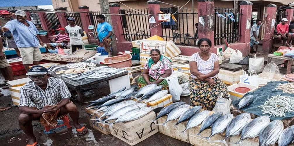 Picture 12 for Activity Negombo: Lagoon Fishing Tour from Colombo Harbour!